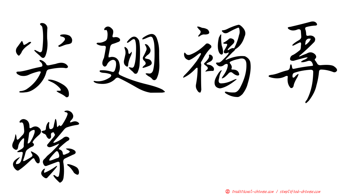 尖翅褐弄蝶