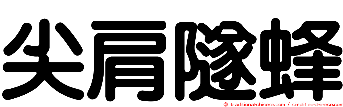 尖肩隧蜂
