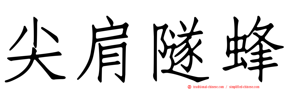 尖肩隧蜂