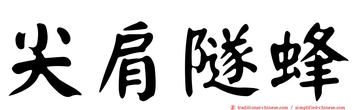 尖肩隧蜂