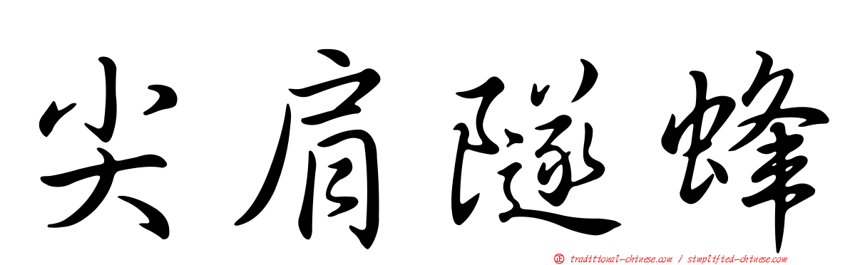 尖肩隧蜂