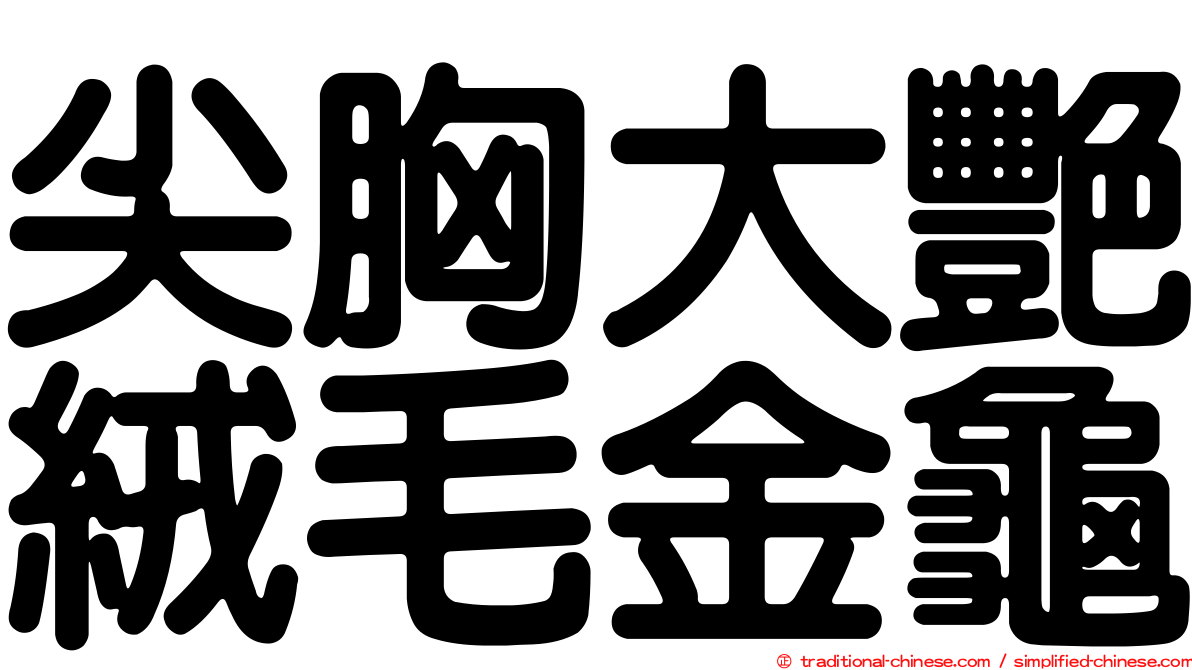 尖胸大艷絨毛金龜
