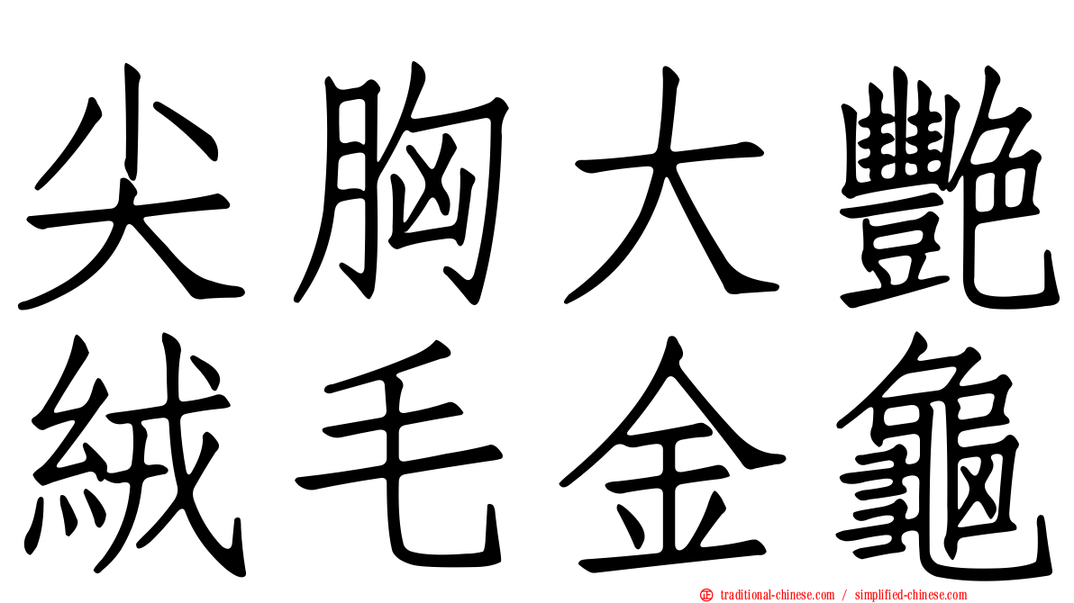 尖胸大艷絨毛金龜
