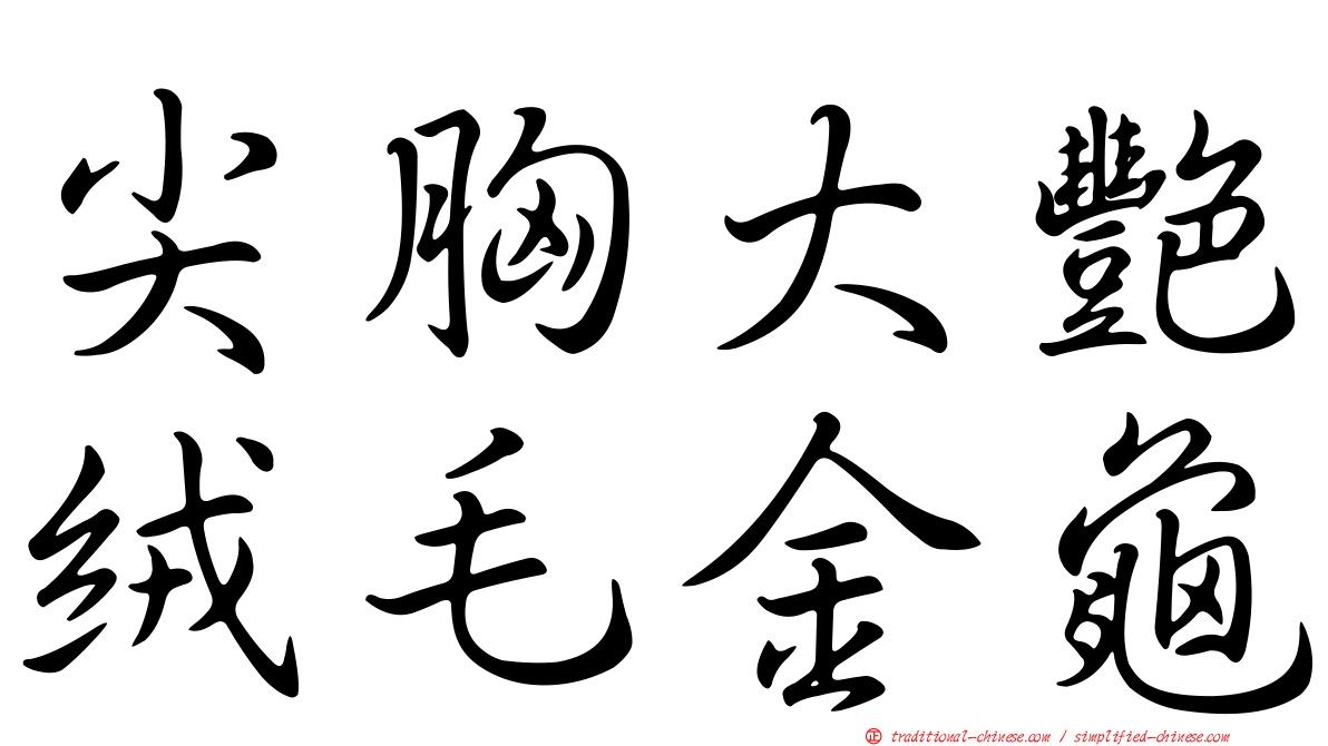 尖胸大艷絨毛金龜