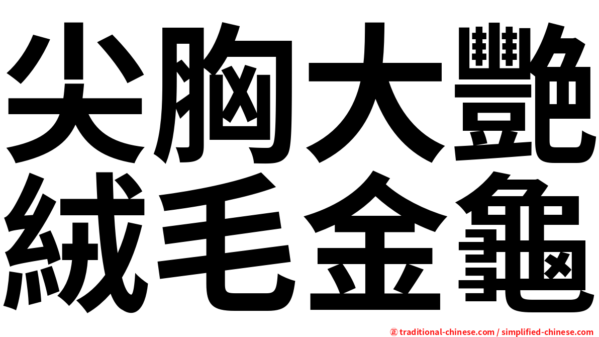 尖胸大艷絨毛金龜