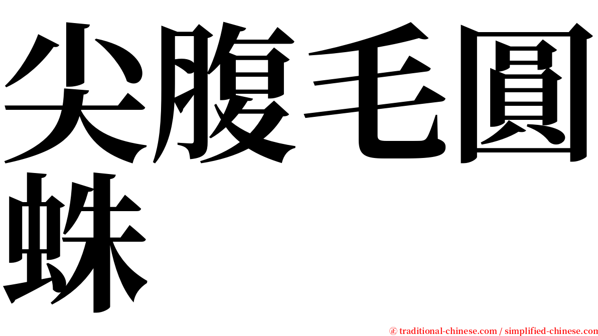尖腹毛圓蛛 serif font