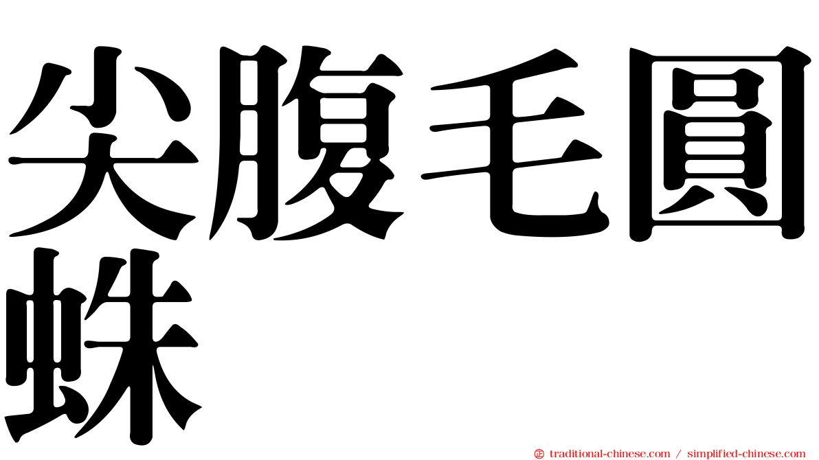 尖腹毛圓蛛