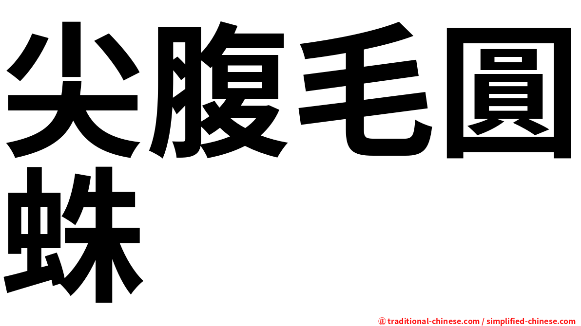 尖腹毛圓蛛