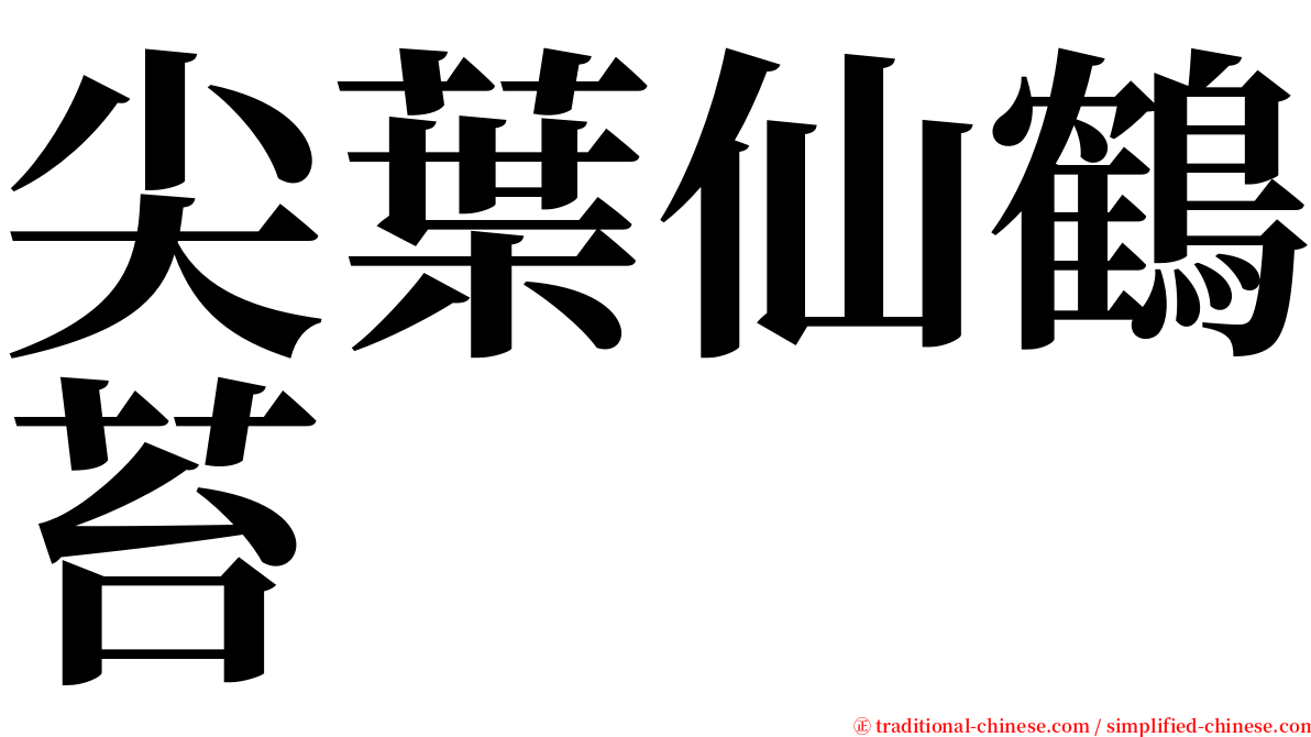 尖葉仙鶴苔 serif font