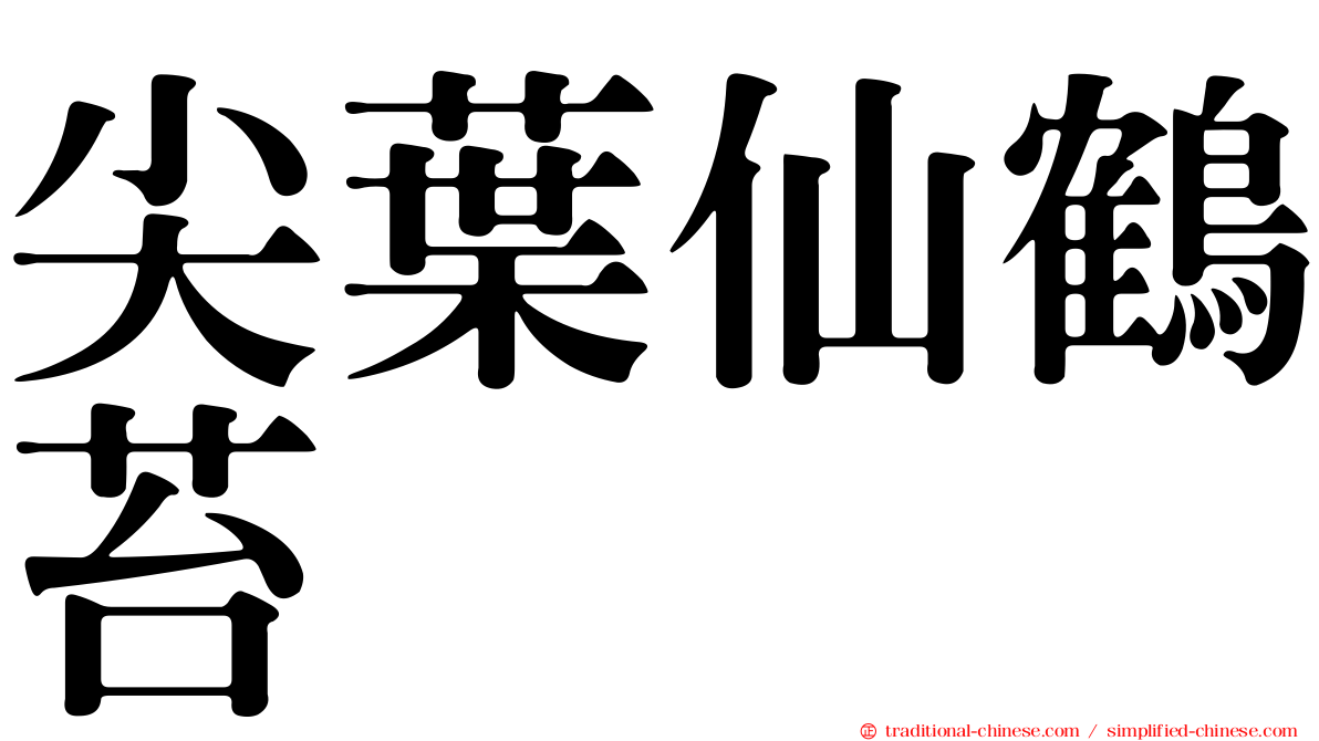 尖葉仙鶴苔
