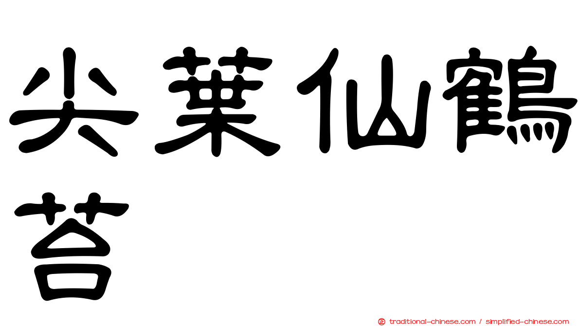尖葉仙鶴苔