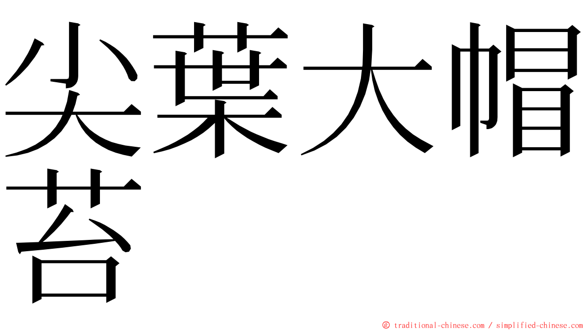 尖葉大帽苔 ming font