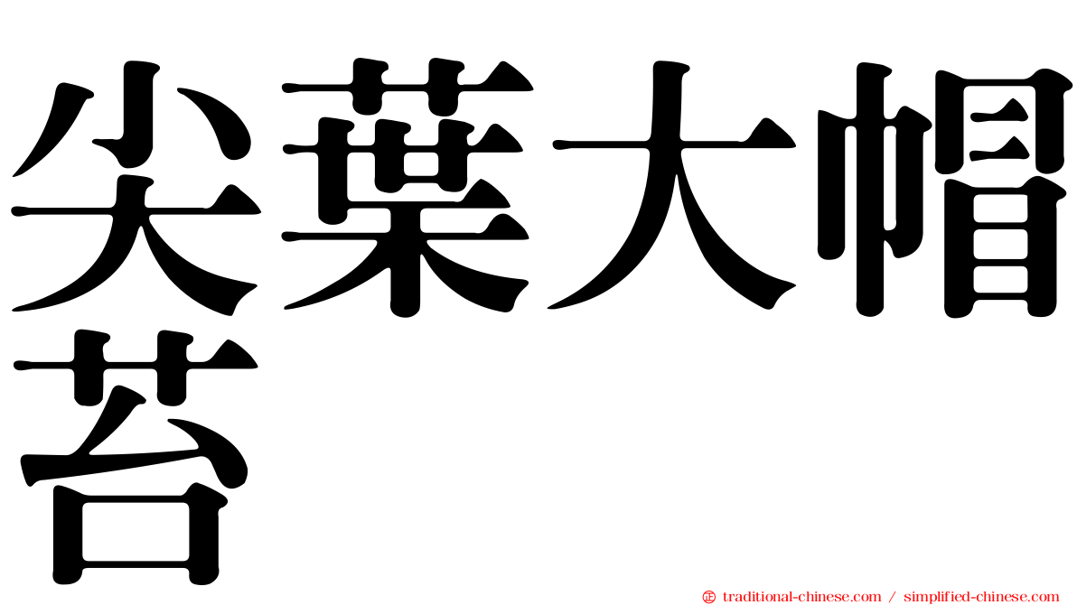 尖葉大帽苔