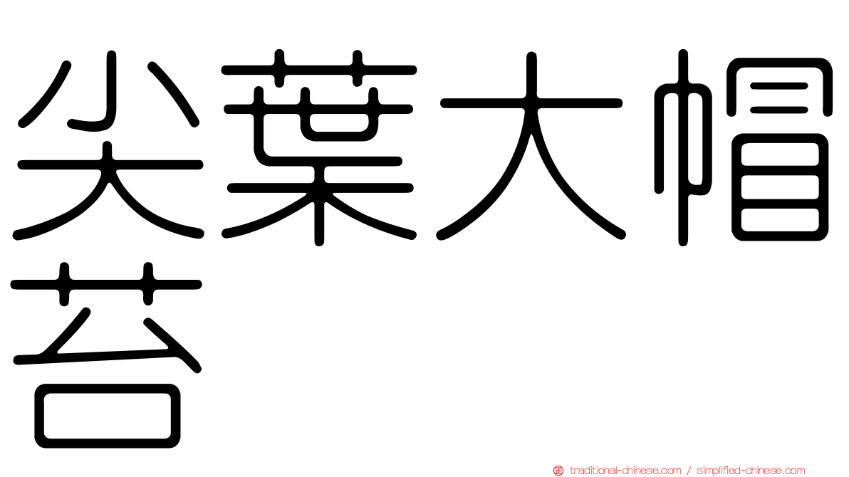 尖葉大帽苔