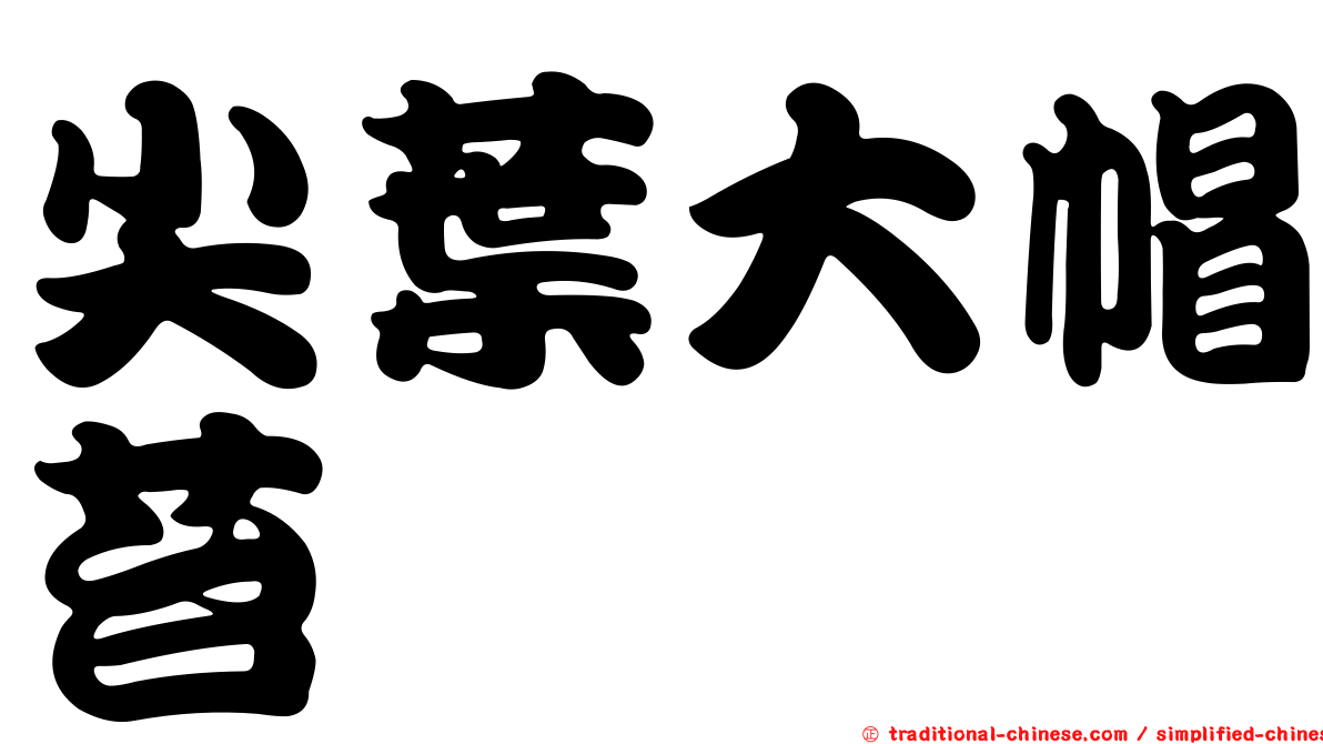 尖葉大帽苔
