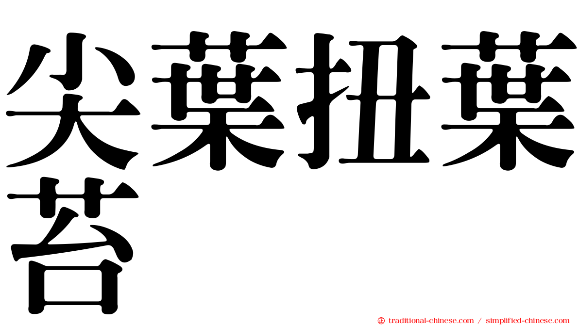 尖葉扭葉苔