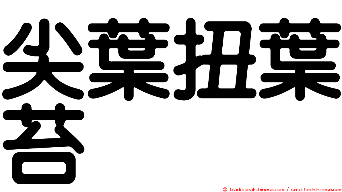 尖葉扭葉苔
