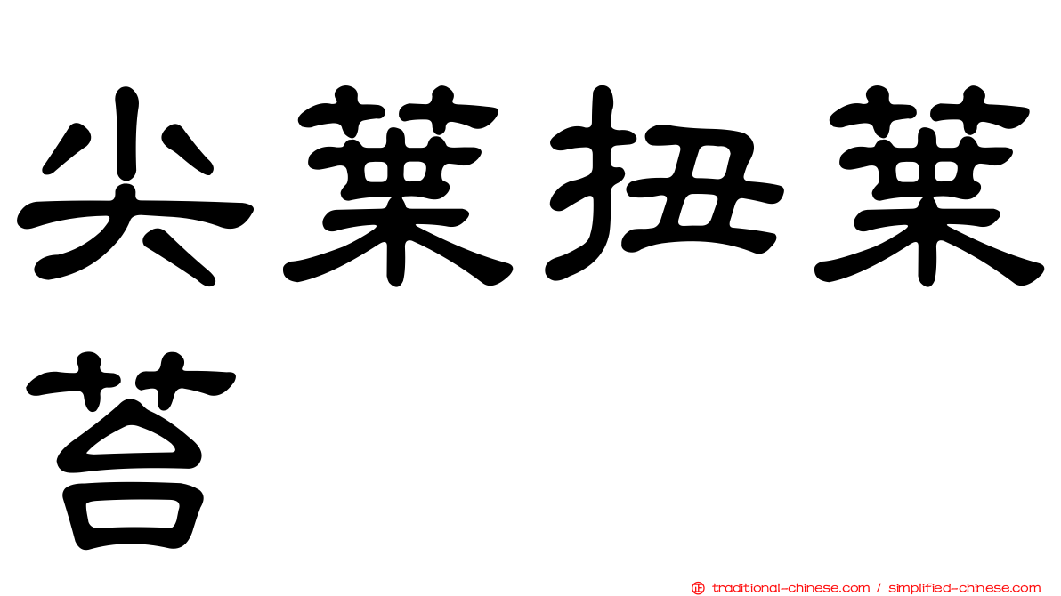 尖葉扭葉苔