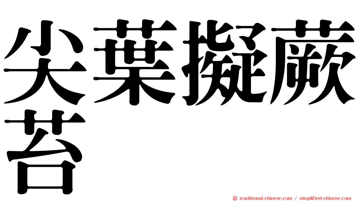 尖葉擬蕨苔