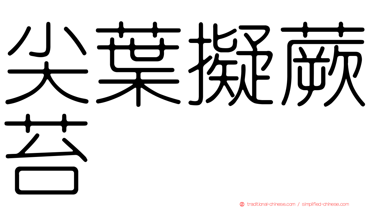 尖葉擬蕨苔