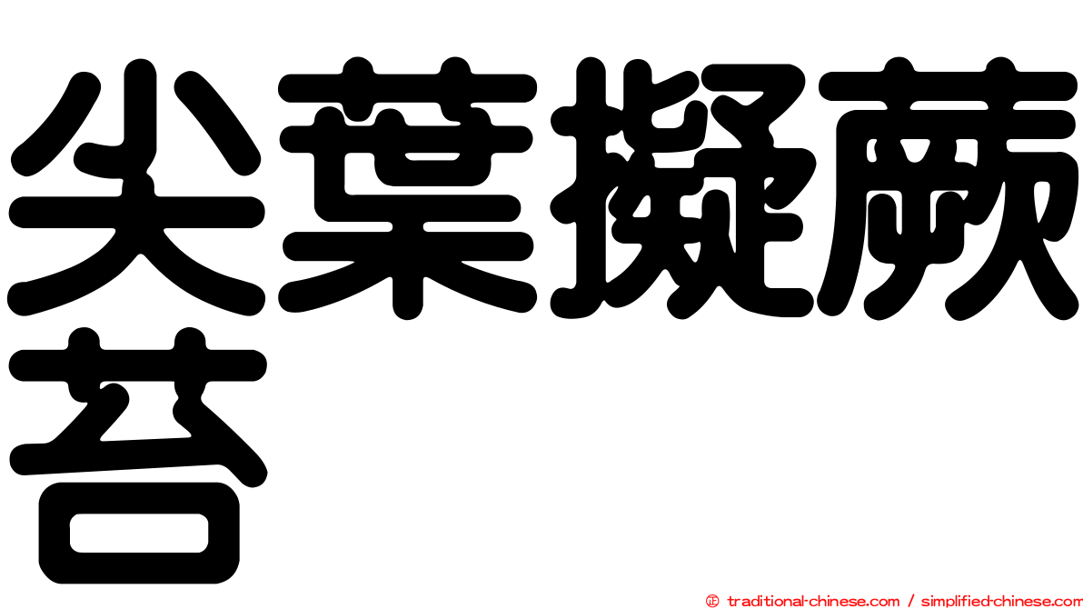 尖葉擬蕨苔