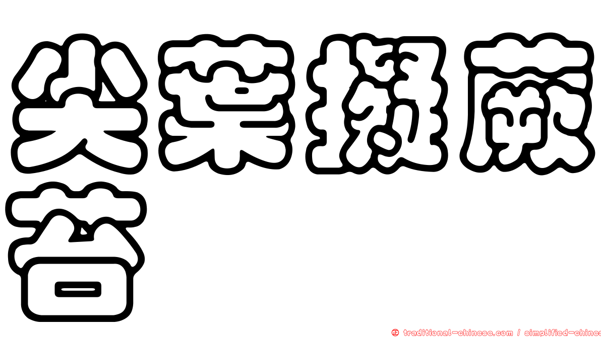 尖葉擬蕨苔