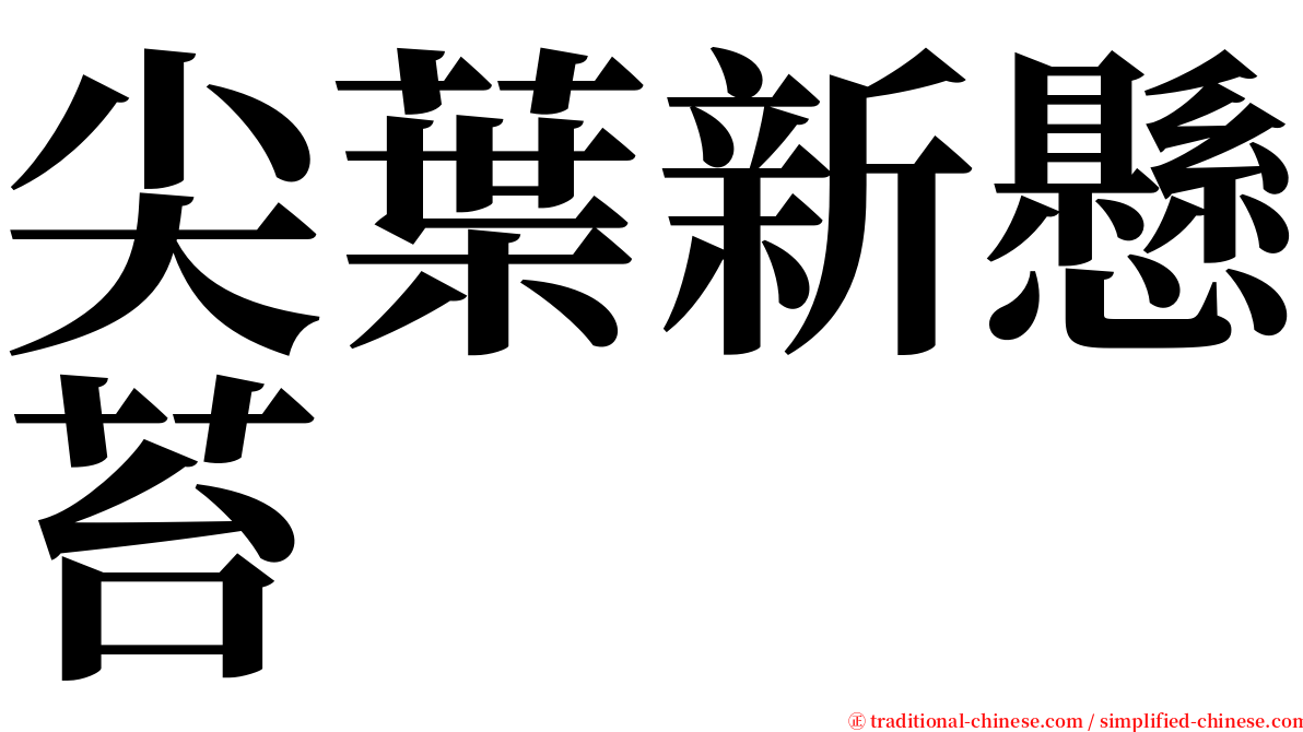 尖葉新懸苔 serif font