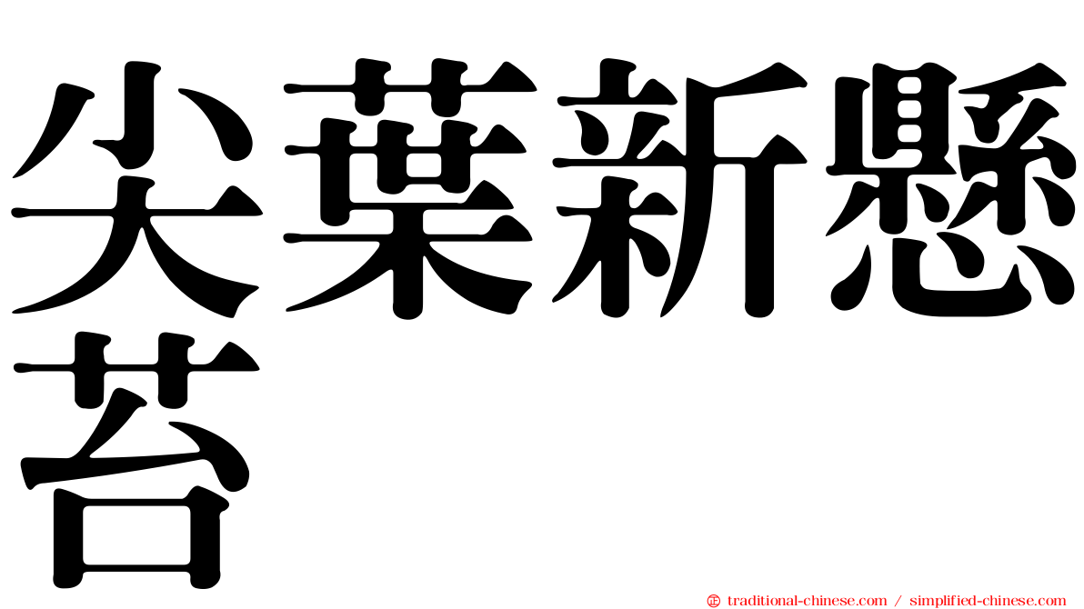 尖葉新懸苔