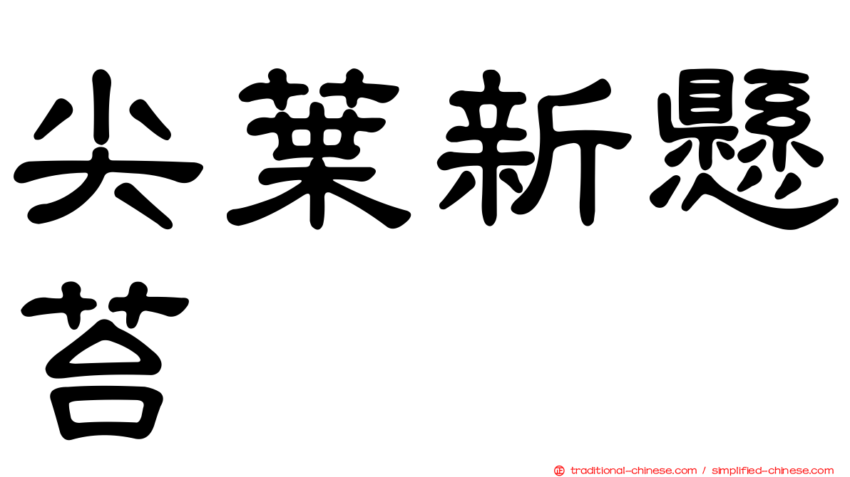 尖葉新懸苔