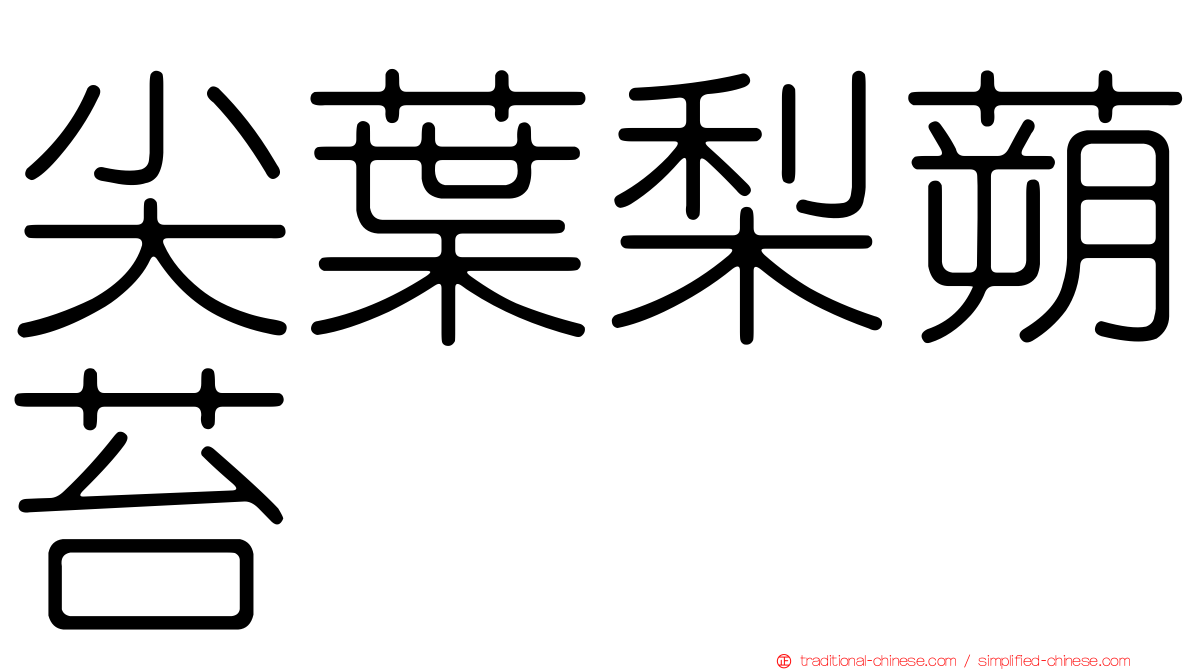 尖葉梨蒴苔