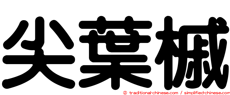 尖葉槭