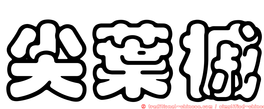 尖葉槭