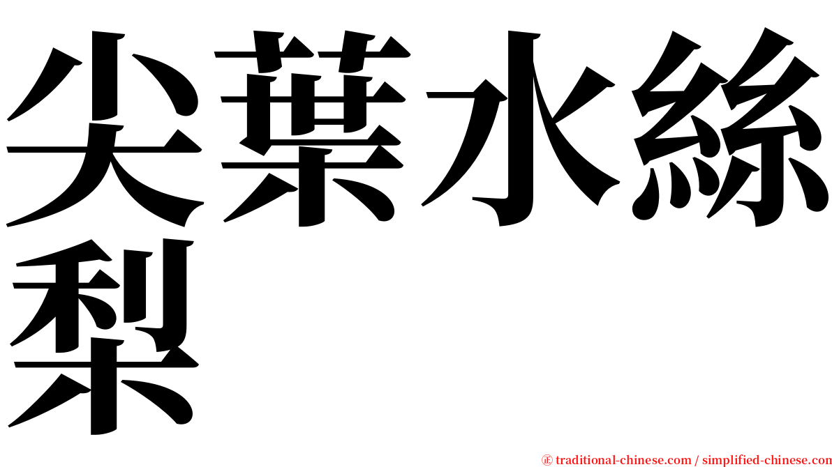 尖葉水絲梨 serif font