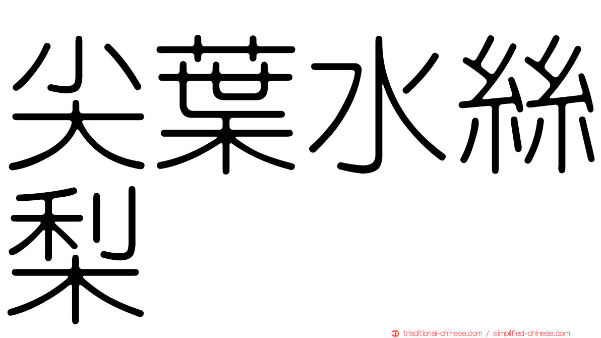 尖葉水絲梨