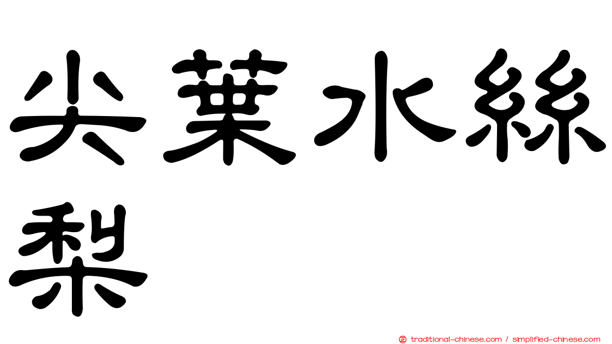 尖葉水絲梨
