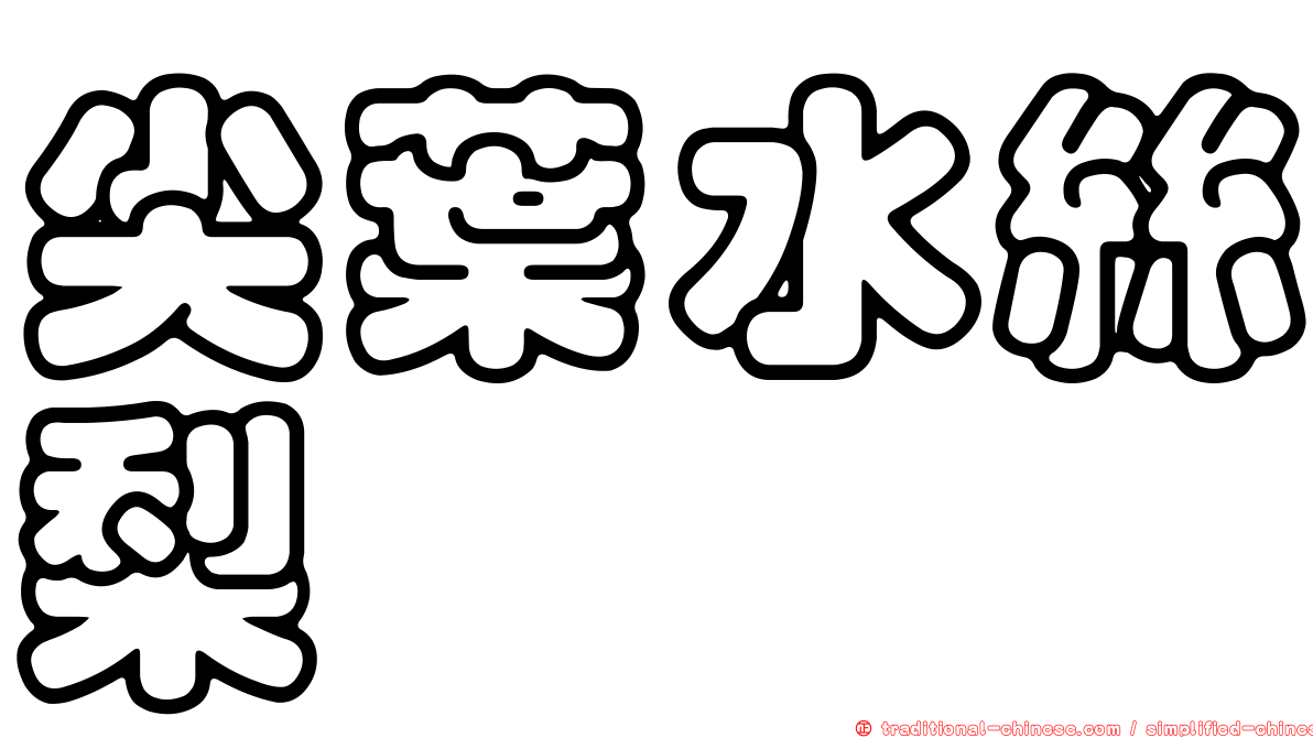 尖葉水絲梨