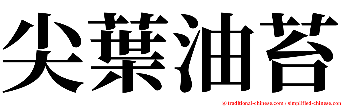 尖葉油苔 serif font
