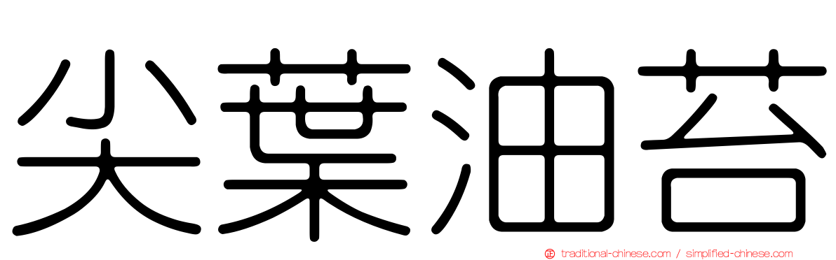 尖葉油苔