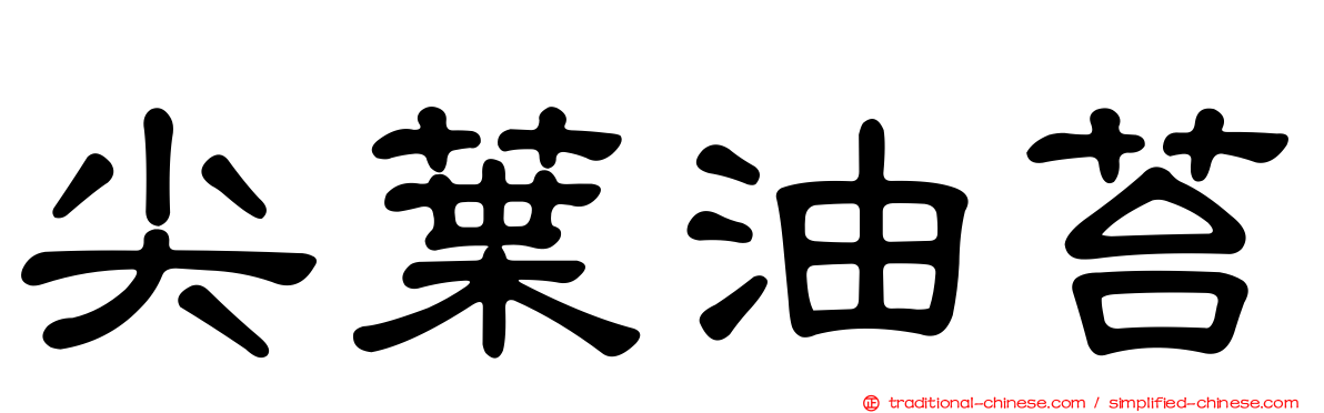 尖葉油苔