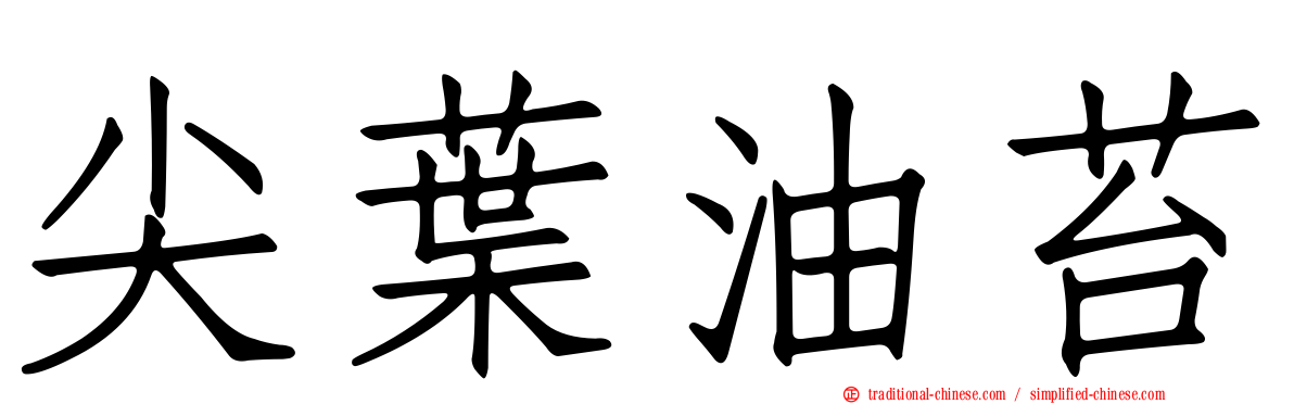 尖葉油苔