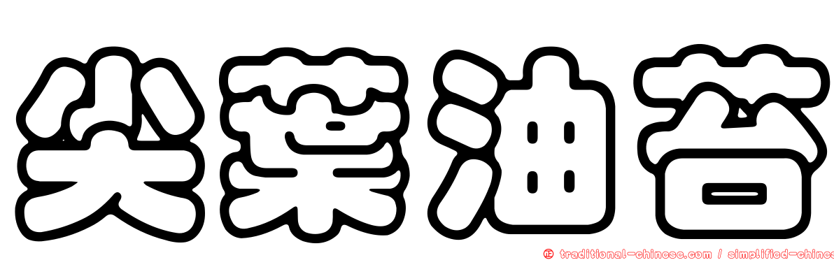 尖葉油苔