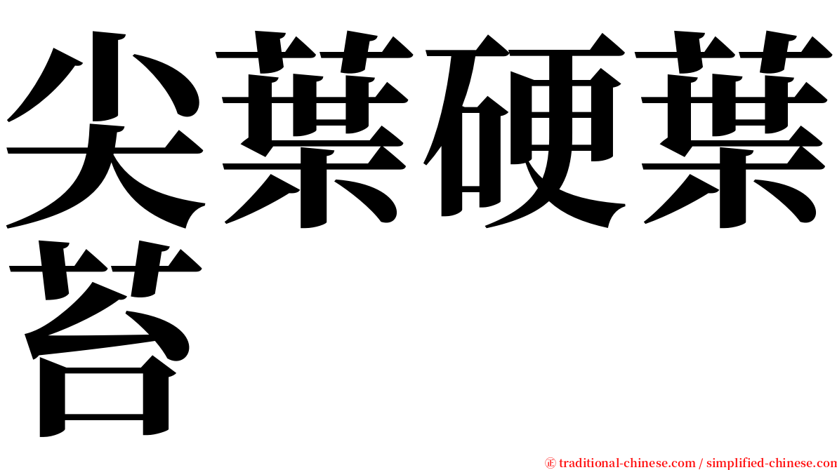 尖葉硬葉苔 serif font