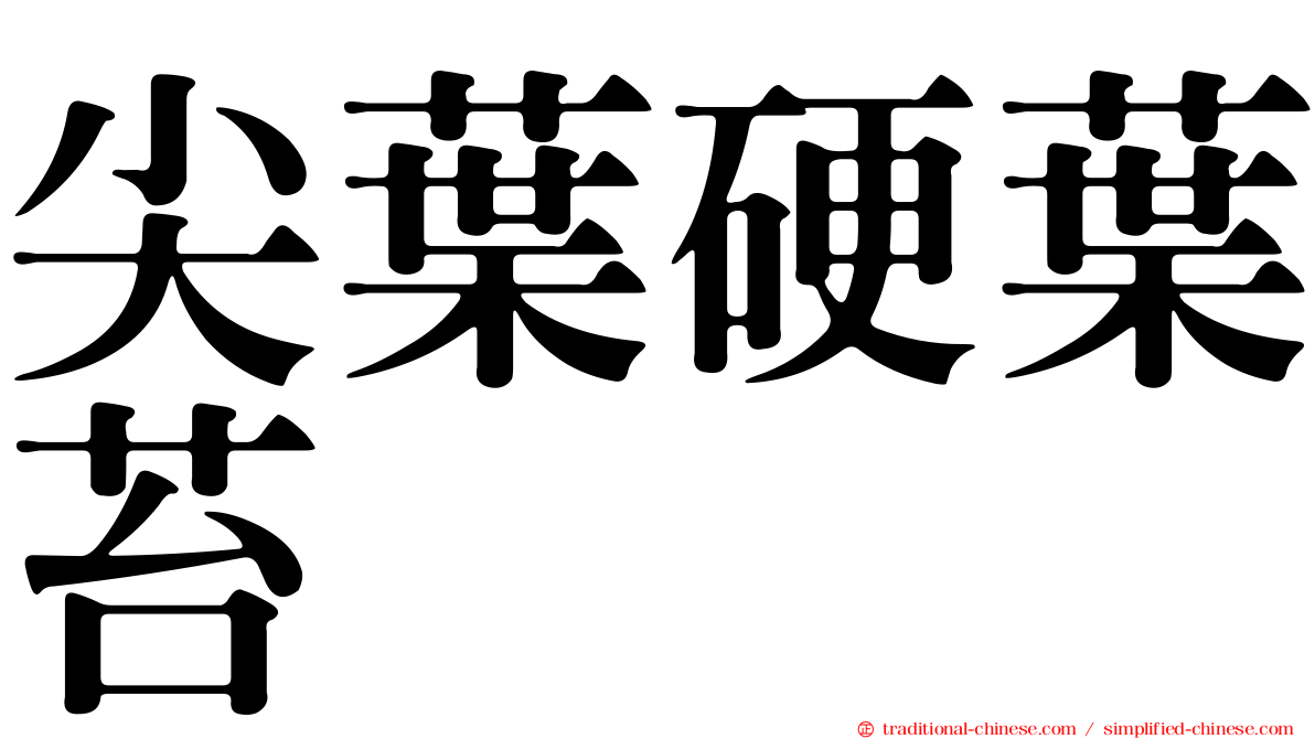 尖葉硬葉苔