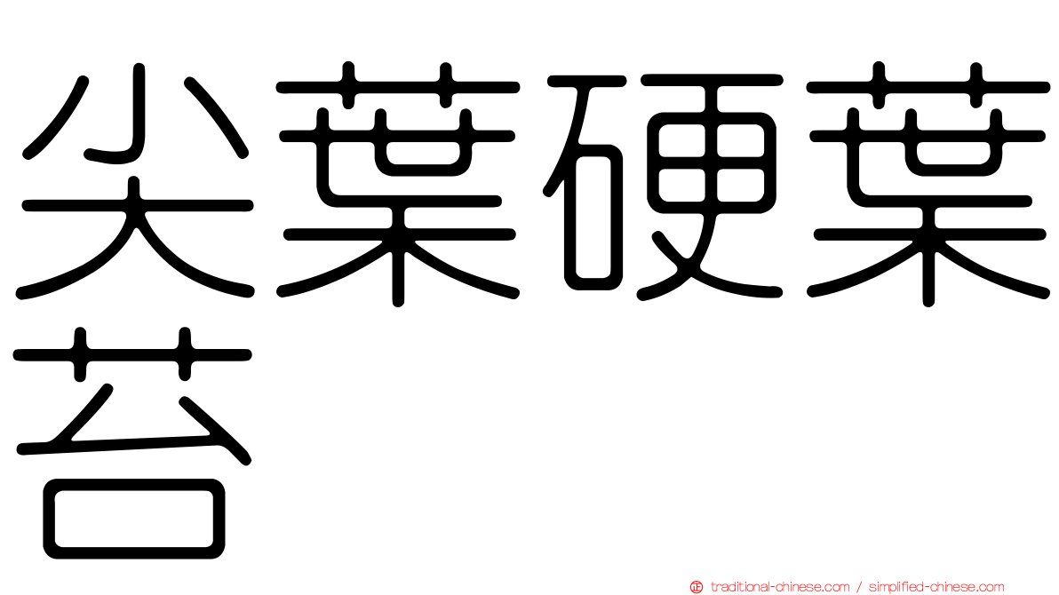 尖葉硬葉苔