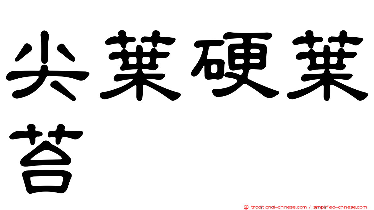 尖葉硬葉苔