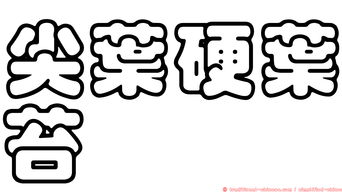 尖葉硬葉苔