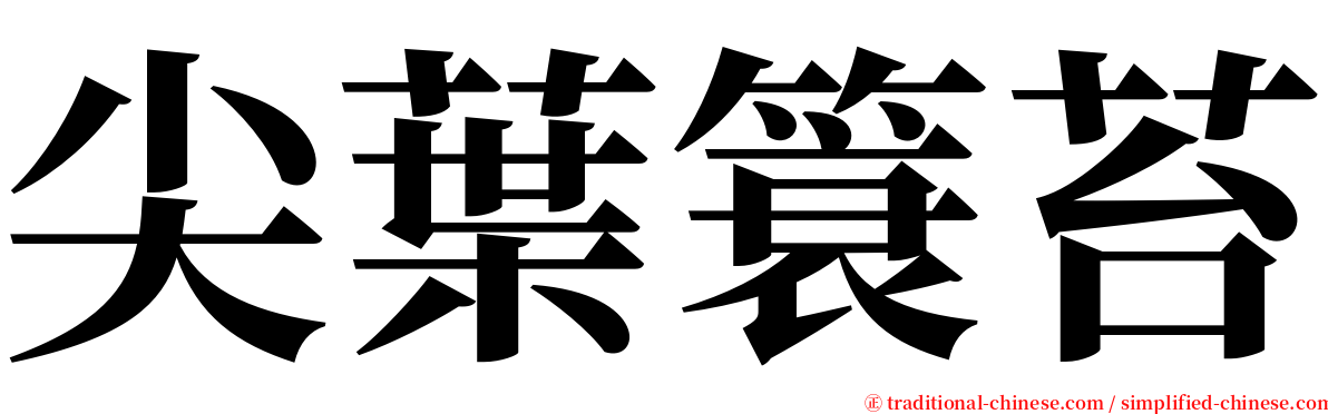 尖葉簑苔 serif font