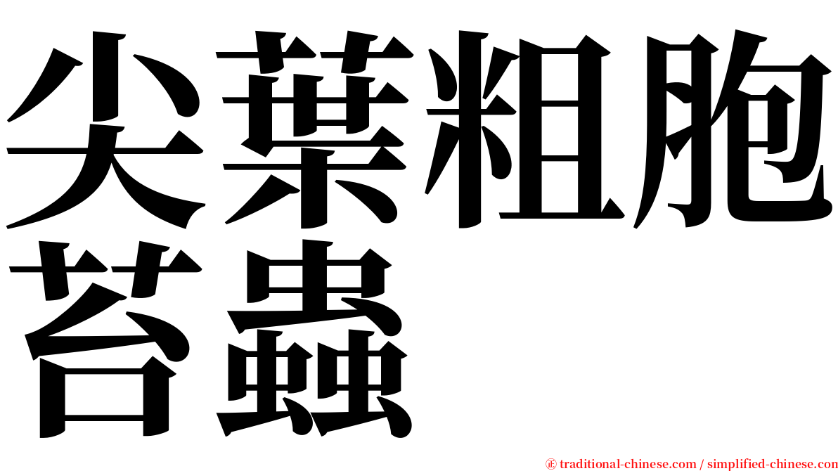 尖葉粗胞苔蟲 serif font
