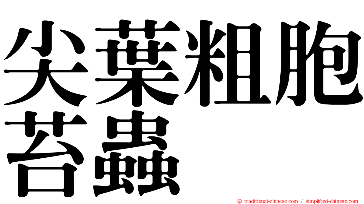 尖葉粗胞苔蟲