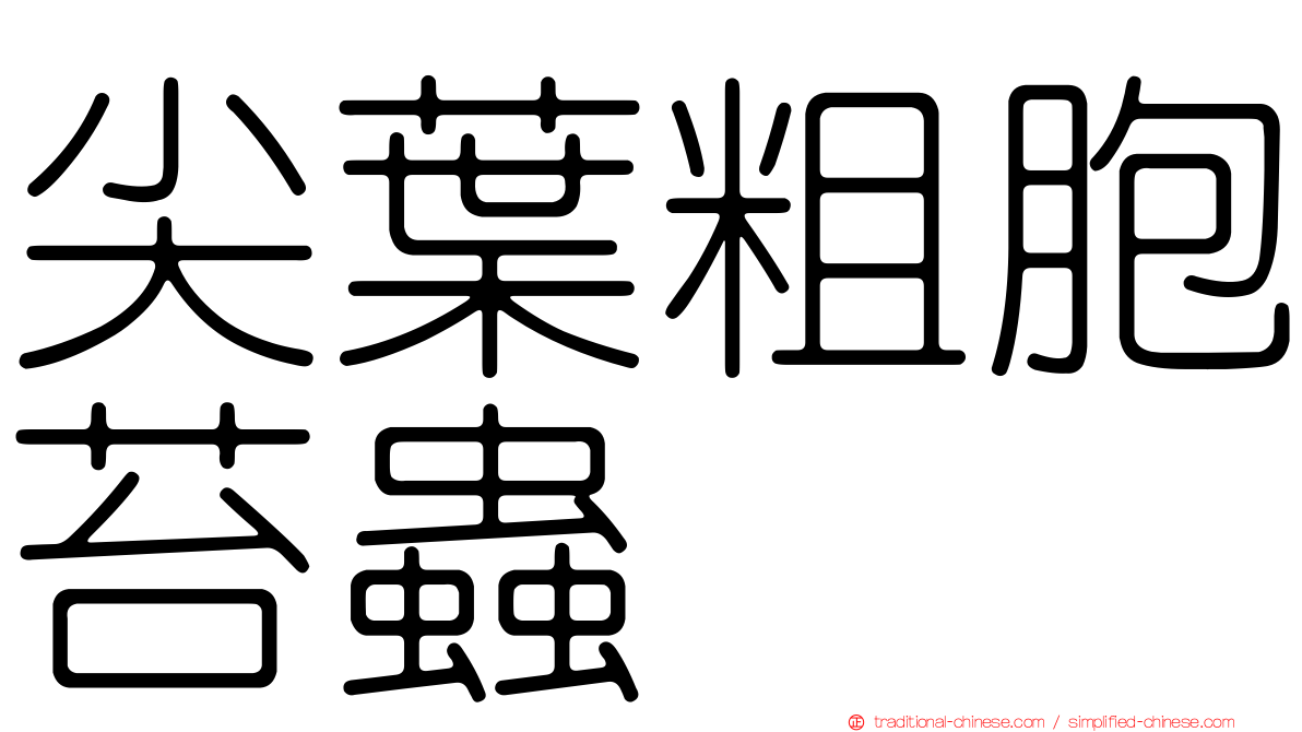 尖葉粗胞苔蟲